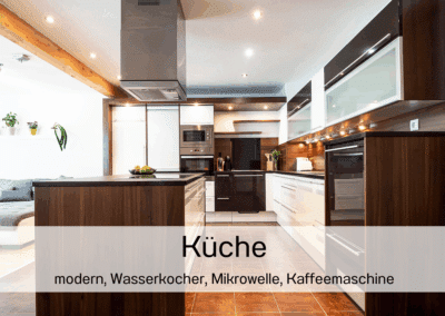 Oetztal Apartements Apartement Superior unten moderne Küche