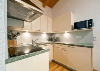 Oetztal Apartements Apartement oben Küchenzeile