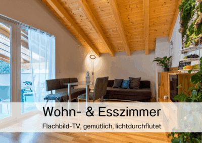 Oetztal Apartements Apartement oben Wohn und Esszimmer