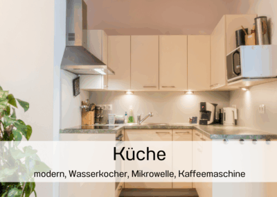 Oetztal Apartements Apartement oben moderne Küche