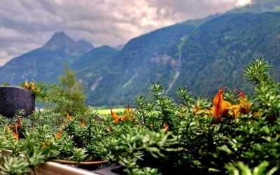 Vielfalt erleben: Aktivitäten im Ötztal für jeden Geschmack